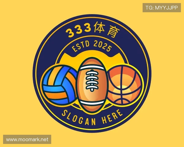 解读333app